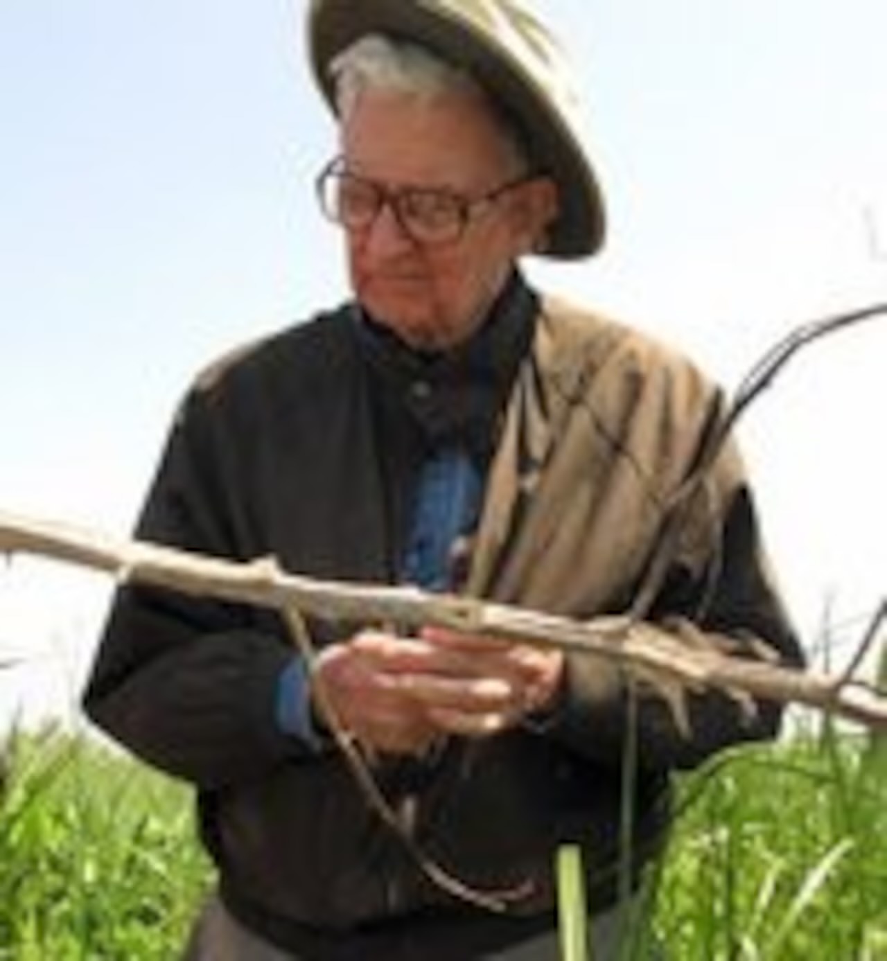 E.O. Wilson examining plant specimens in the field